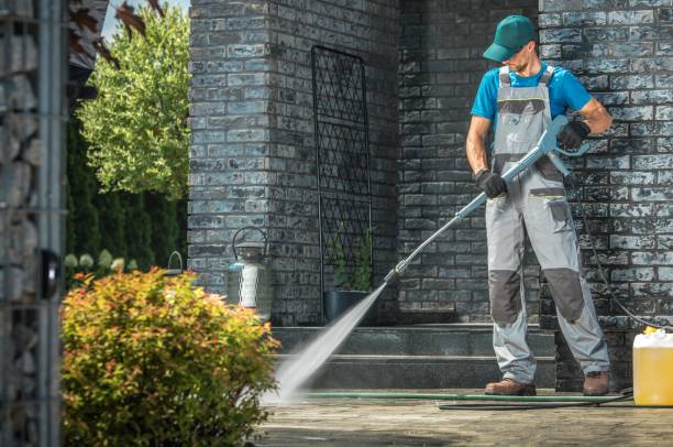 Best Solar Panel Cleaning  in Red Oak, IA